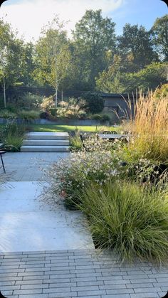 an outdoor walkway surrounded by plants and flowers