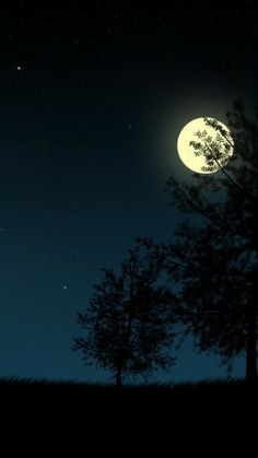 the full moon shines brightly in the night sky above some trees and grassy area