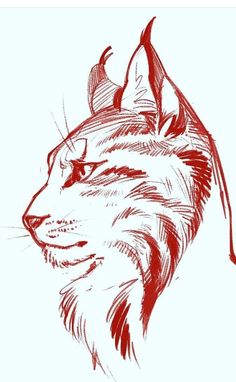 a drawing of a cat's head in red ink