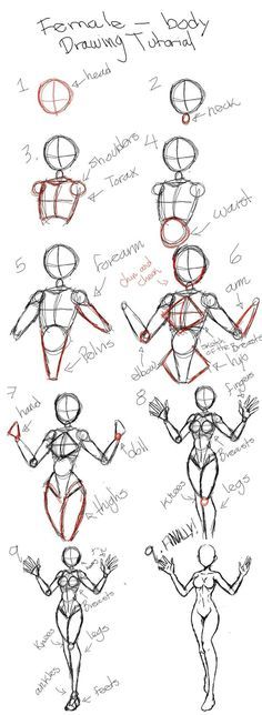 how to draw the human body with different poses and expressions in this drawing lesson, you can