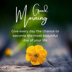 a yellow flower sitting on top of a wooden table with the words good morning above it