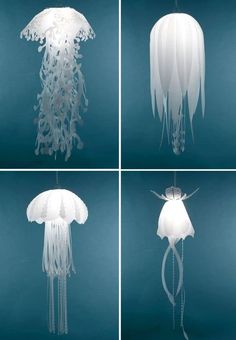 four pictures of different types of jellyfishs in various stages of development, from white to light blue