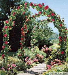 an outdoor garden with roses growing on it's sides and a stone path in the middle