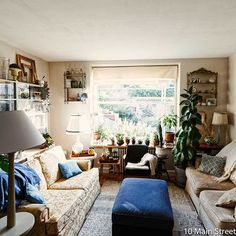 a living room filled with furniture and lots of plants on the windows sills