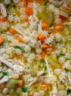 chicken and rice soup with carrots, celery, parsley and parsley