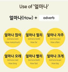 the words in different languages are written on yellow circles