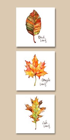 three cards with watercolor leaves on them