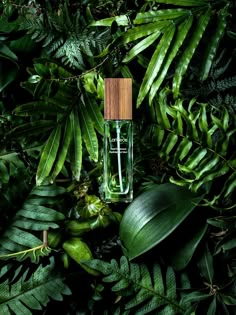 a bottle of perfume surrounded by green leaves