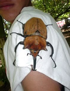 a close up of a person wearing a towel with a beetle on it