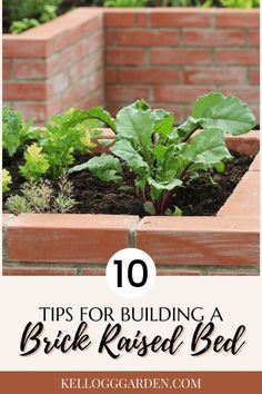 a brick raised bed with plants growing in it and the words 10 tips for building a brick raised bed