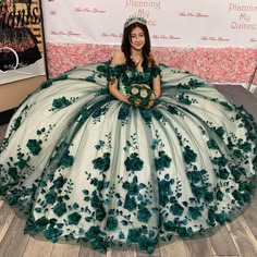 Emerald Quinceanera Dress, Emerald Green Quinceanera Dresses, Quinceanera Dresses Green, Green Quince Dress, Sweet 16 Party Dress, Green Quinceanera Dresses, Xv Dresses, Quinceanera Themes Dresses, Sweet 15 Dresses