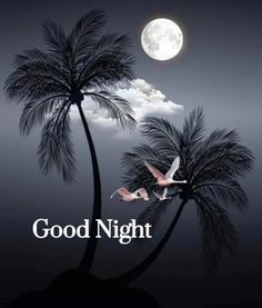 two birds flying in the air next to palm trees and a full moon with words good night