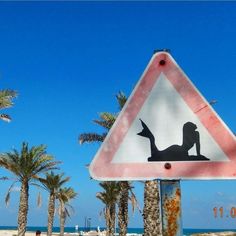 a street sign on the beach with palm trees and blue sky in the back ground