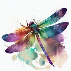 a watercolor painting of a dragonfly on a white background