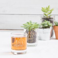 three small pots with succulents in them and one glass filled with water