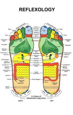 Reflexology Foot Chart, Foot Reflexology Massage, Pelvic Region, Reflexology Chart, Reflexology Massage, Foot Reflexology, Healing Touch, Loose Skin, Reflexology