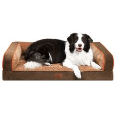 a large black and white dog laying on top of a brown bed with an orange border