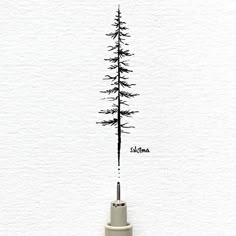 an ink drawing of a single pine tree