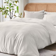 a bed with white sheets and pillows in a room next to a plant on the wall