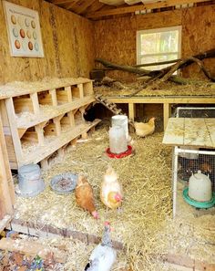 several chickens are in their coops on the ground and hay is scattered around them