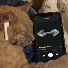 an orange cat laying on top of a bed next to an iphone with ear buds