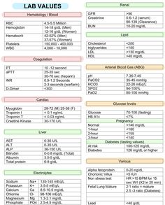 an image of the lab value table for laboratory equipment and their corresponding labels are shown