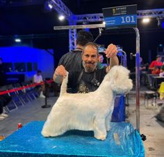 a man is grooming a small white dog on a blue table in front of an audience