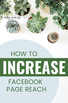 a facebook page with succulents on it and the title how to increase facebook page reach