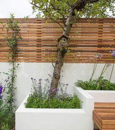 an outdoor garden area with planters, benches and a tree in the center is surrounded by wood slats