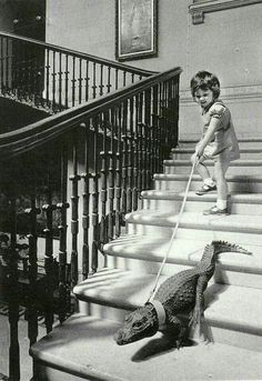 a little boy that is standing on some stairs with a toy alligator in front of him