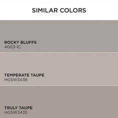 four shades of gray paint with the names similar colors on each side and one color that matches