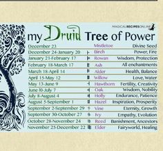 the poster for my druid tree of power