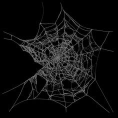 a spider web on a black background with some white lines in the center and bottom