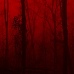 a red foggy forest filled with lots of trees