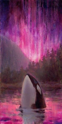 an orca in the water with purple and pink lights