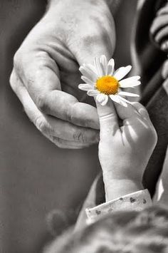 a black and white photo of a person holding a small daisy in their left hand