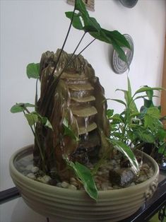 a water fountain in a potted plant on a table