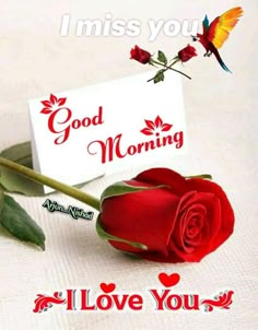 a red rose and a card that says good morning