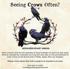 a poster with some black birds on it's branches and the words, seeing crows often