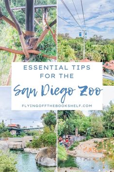 the san diego zoo with text overlay that reads essential tips for the san diego zoo