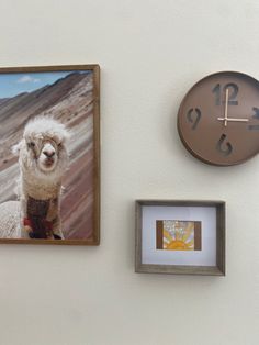 a clock mounted to the side of a wall next to pictures and a llama