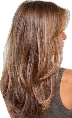 Autumnal Hair Brunette, Golden Carmel Hair, Honey Golden Brown Hair, Golden Honey Hair, Golden Brown Hair With Highlights, Brown Honey Hair, Golden Honey Balayage, Golden Brown Hair Honey, Warm Honey Brown Hair