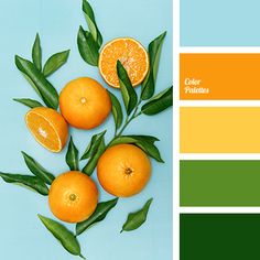 some oranges are sitting on top of green leaves and color swatches in the background