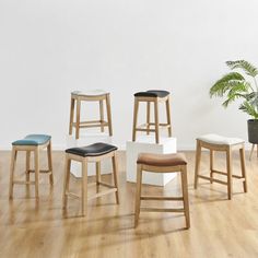 four stools and a potted plant on the floor in front of a white wall