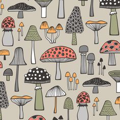 an image of many different types of mushrooms on a gray background with black and white dots