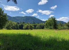 a grassy field with mountains in the background and trees on either side, under a partly cloudy blue sky