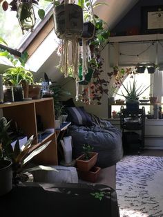 a living room filled with lots of plants