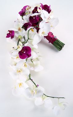 white and purple flowers are arranged on a white surface