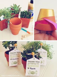 there are three pictures of plants in small pots and one has a thank you grow tag on it