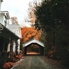 an empty road in front of some houses with fall foliage on the ground and trees lining both sides